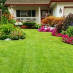 Jackstreeandlandscapeservices.com