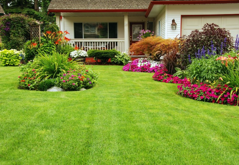 What Homeowners Need To Know About Choosing Plants From A Garden Center in Milwaukee, WI