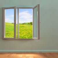 Tips on Choosing New Windows Arlington