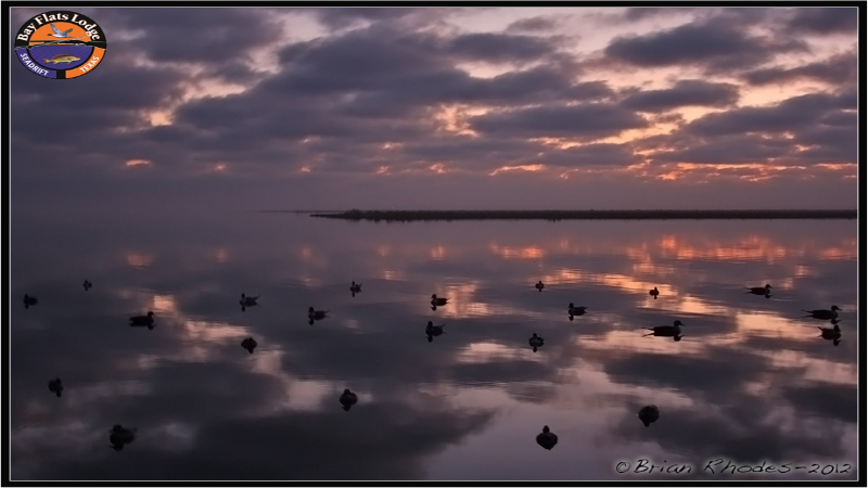 Learn More about Texas Waterfowl Hunting