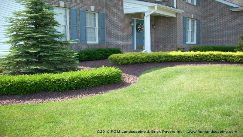 The Benefits of Grass From a Sod Farm in Whichita, KS