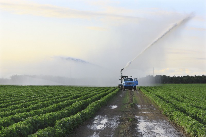 Fertilizer Equipment and Other Farming Must-Haves for Small Farms