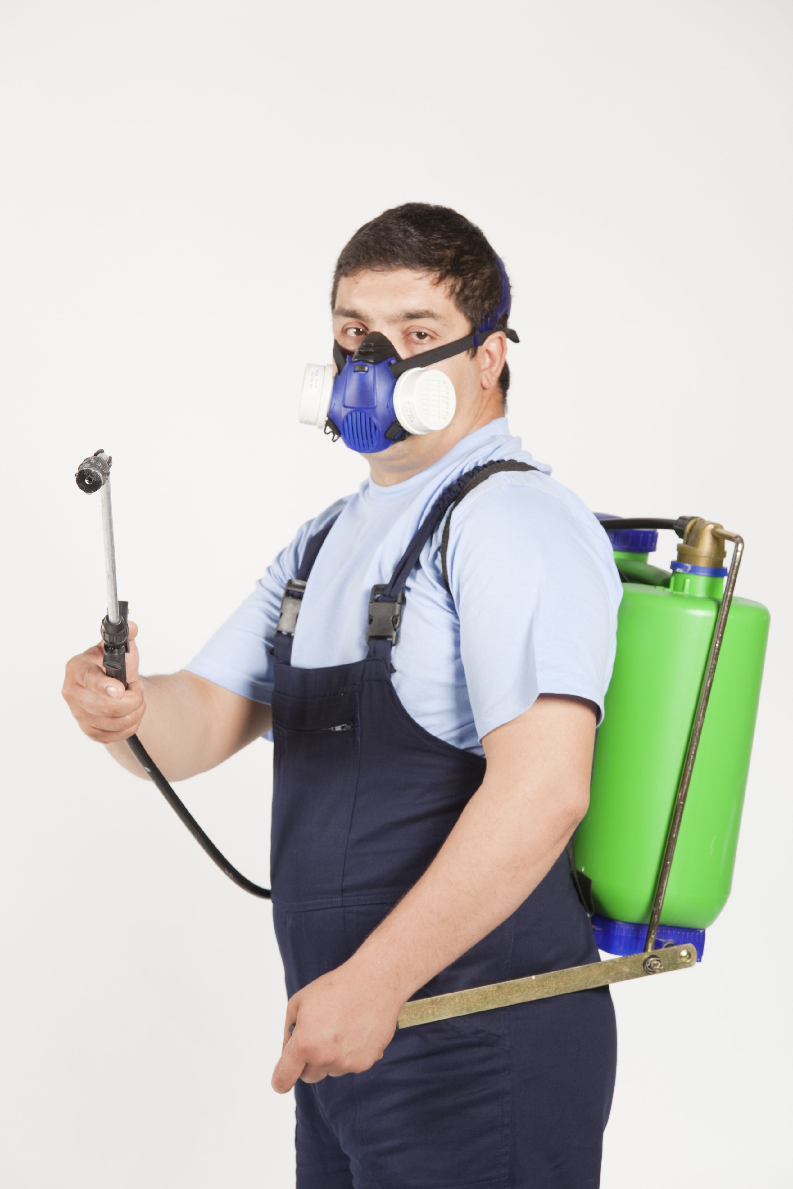 Effective Pest Control Services in Rochester, MI: Protecting Your Home and Business