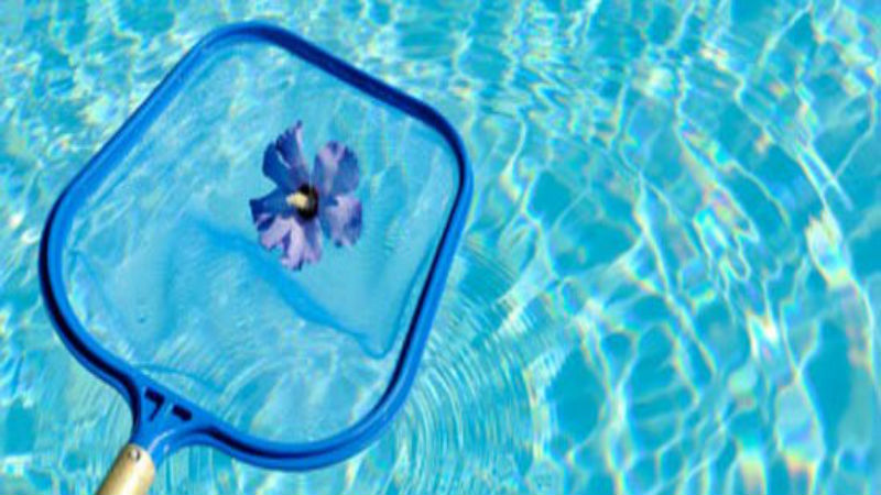 Is Professional Pool Maintenance in Pearland the Right Choice?