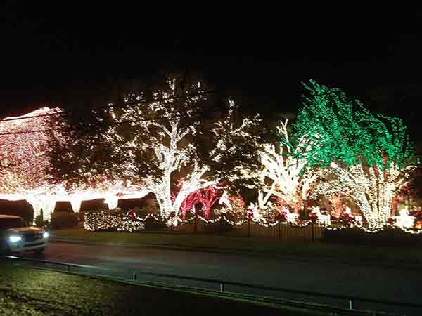 Reasons to Hire the Professionals for Outdoor Christmas Light Installation