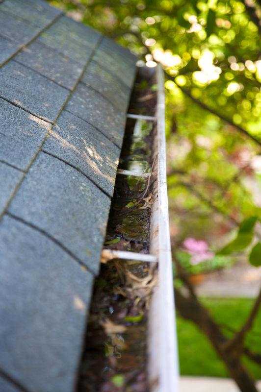 Common Questions About Gutter Cleaning In Severna Park