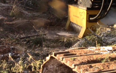 How to Choose the Best Mini Excavator Mulcher or Brush Cutter