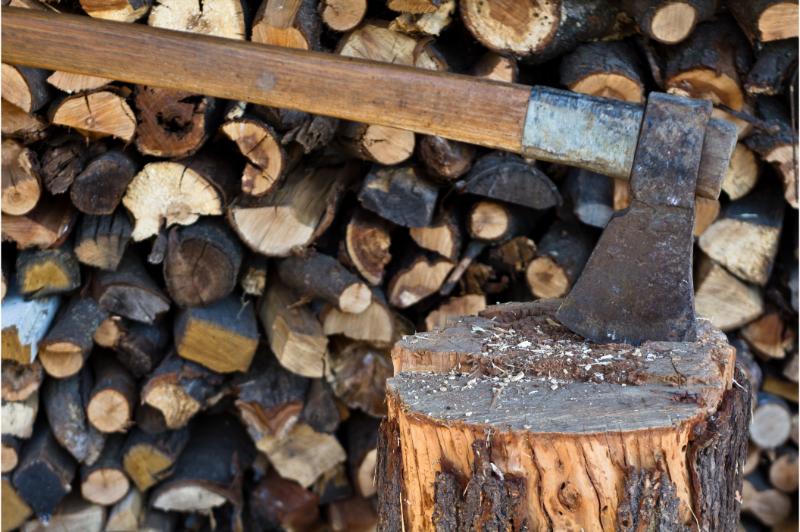 Premium-Grade Firewood for Sale Near Freehold, NJ Carefully Chosen for Its Consistent Heat and Inviting Aroma